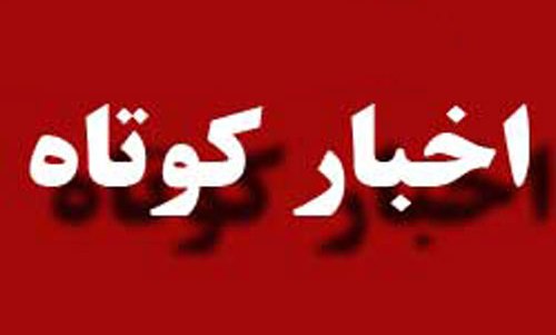 محصول كيوي جايگزين باغات گوجه سبز  تالش مي شود