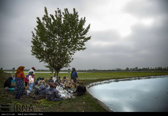 مدیریت منابع آبی آب‌بندان‌ها؛ راهکار اصولی برای مبارزه با خشکسالی در مازندران