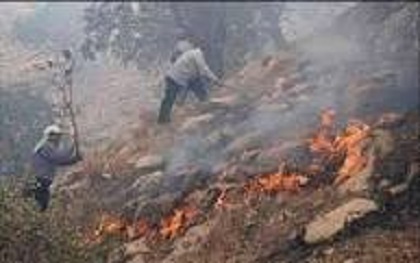30هكتار جنگل و مرتع گچساران درآتش سوخت