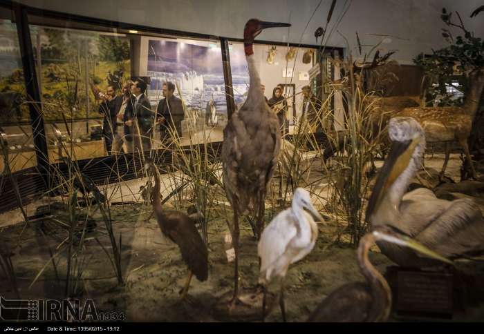 بازدید از موزه تنوع زیستی پارک پردیسان رایگان می‌شود