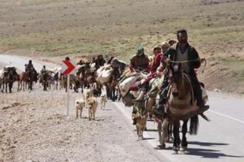 آغاز ورود عشایر دامپرور به مراتع همدان