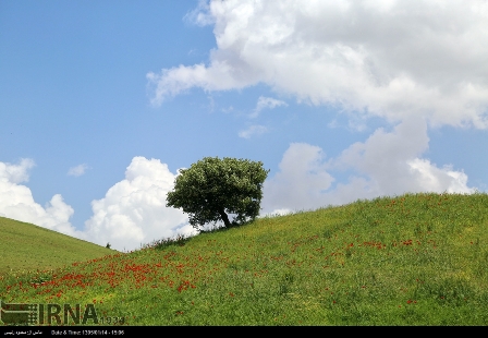 ثبت جهاني ذخيره گاه زيستكره چهارمحال وبختياري باحضور مسوولان يونسكو رونمايي مي شود