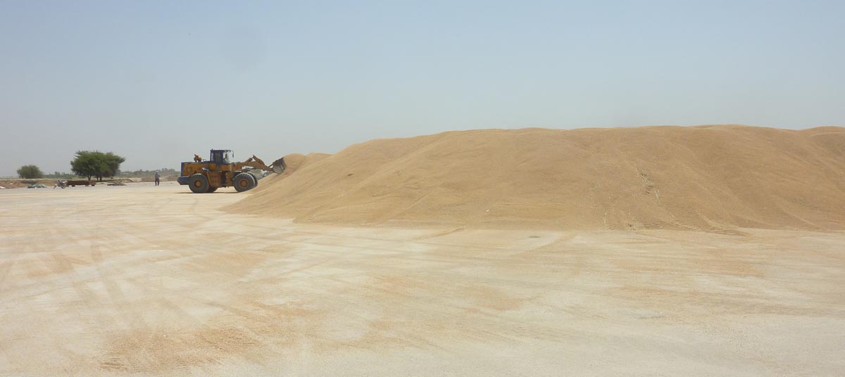 فرماندار:شوشتر نيازمند ساخت سيلوي گندم است