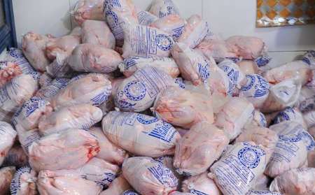 انعقاد قرارداد صادرات 24 هزار تن مرغ مازندران به عراق