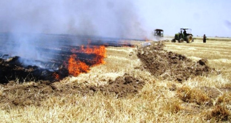 كشاورزان از آتش زدن باقی مانده محصول در مزارع خودداری كنند