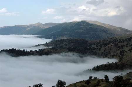 دو خانواده گمشده در جنگل ابر شاهرود نجات يافتند