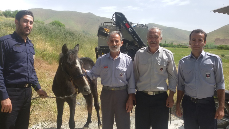 آتش نشانان سنندجي اسب افتاده در چاه را نجات دادند