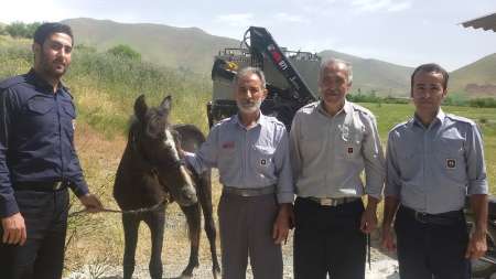 آتش نشانان سنندجی اسب افتاده در چاه را نجات دادند