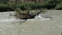 نجات 2 قایقران سردشتی در رودخانه زاب