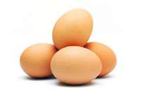 600 كيلوگرم تخم مرغ فاسد در گرمسار معدوم شد