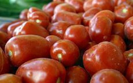 18هزار تن گوجه فرنگي از هرمزگان به روسيه صادر شد