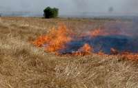 سوزاندن كاه و كلش مزارع  باعث فقر خاك می شود