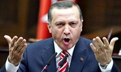 اردوغان: تصمیم پارلمان آلمان به روابط آنكارا-برلین تاثیر می گذارد