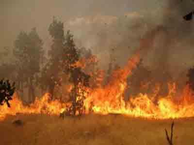 25 هكتار از مزارع كشاورزي كوهدشت طعمه حريق شد
