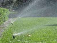 99 درصد فضاي سبز شهركرد با آب غيرشرب آبياري مي شود