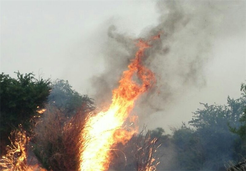 آتش سوزي در مناطق جنگلي پاسارگاد فارس هنوز مهار نشده است