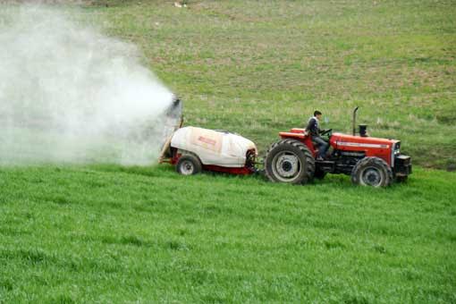 مبارزه با آفت سن و علف هاي هرز در 10 هزار هكتار مزارع غلات هشترود
