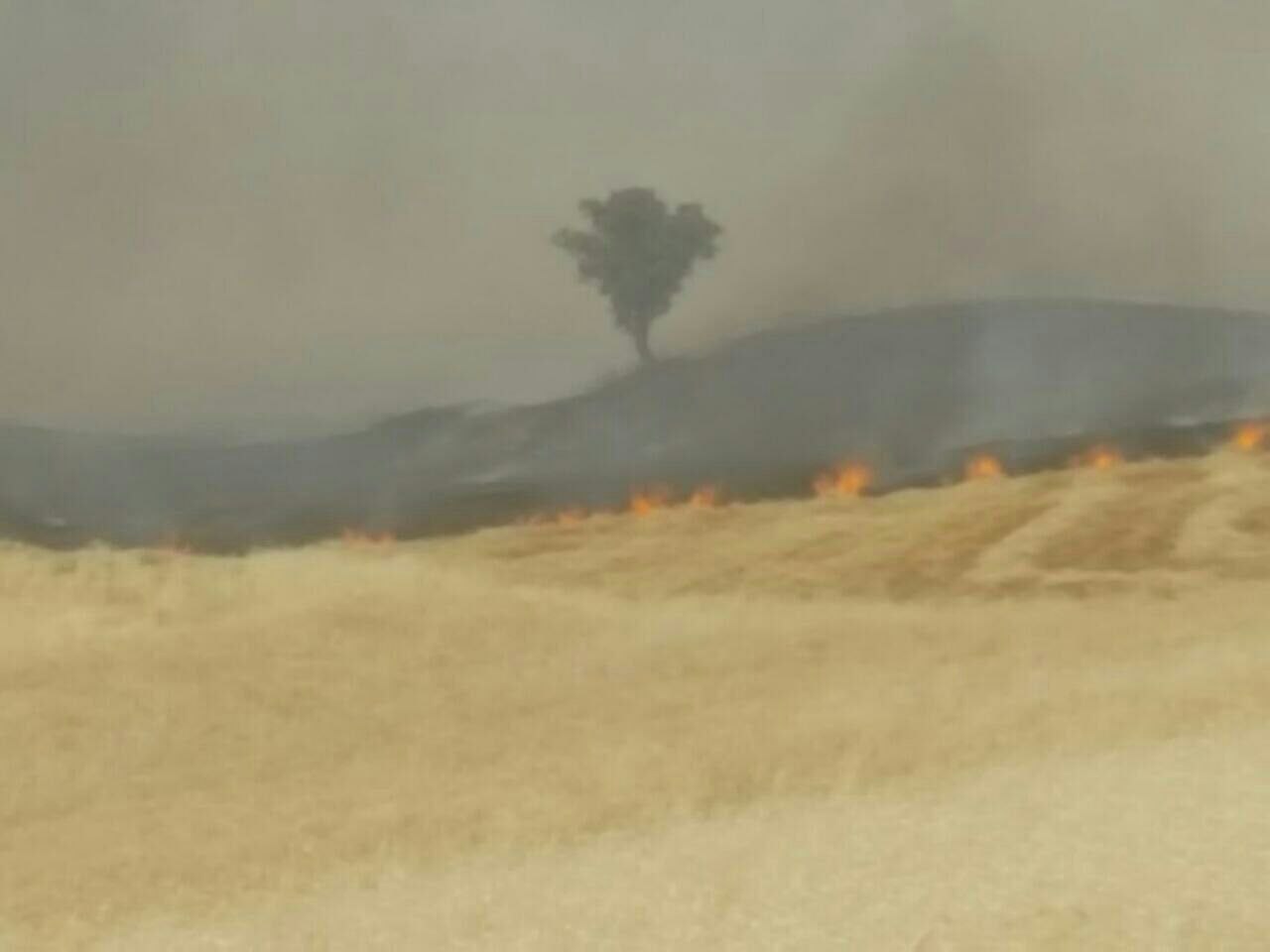 وقوع آتش سوزي در مزارع شهرستان كوهدشت