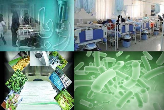 هيچ موردي از ابتلا به وبا در قم گزارش نشده است هيچ موردي از ابتلا به وبا در قم گزارش نشده است