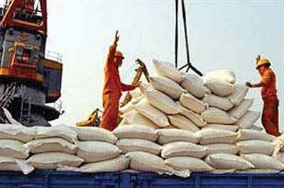 حجتی: واردات برنج از پایان تیر ممنوع است/تولیدبیش از30هزارتن چای خشك