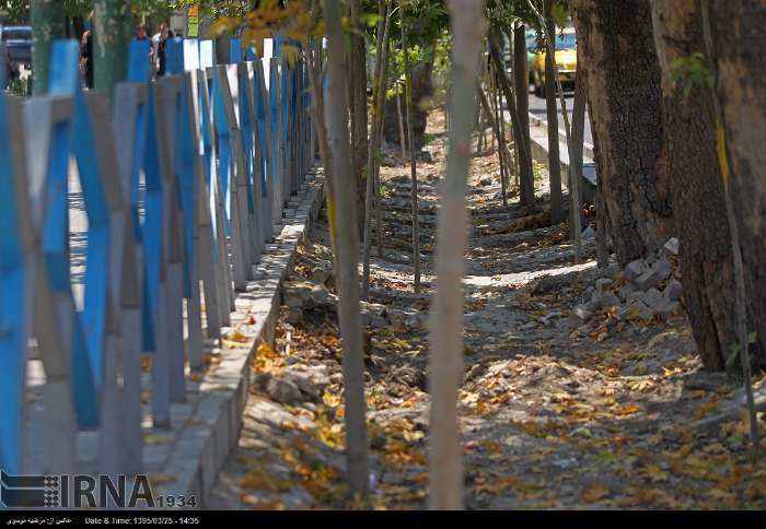 هیچ درختی در بوستان‌های تهران قطع نشده است