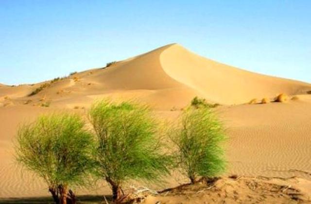 477 هزار هكتار از بیابان‌های استان سمنان خسارت‌های زیست محیطی و اقتصادی دارد