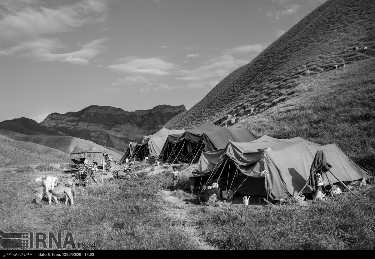 ۲۴۰۰ خانوار عشایری در کلات خراسان رضوی شناسایی شدند