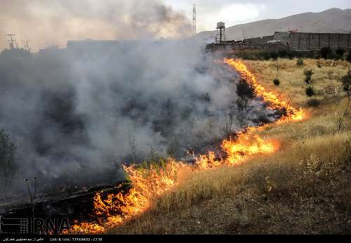 ۳۰۵ عامل آتش سوزی مزارع لرستان به مراجع قضایی معرفی شدند