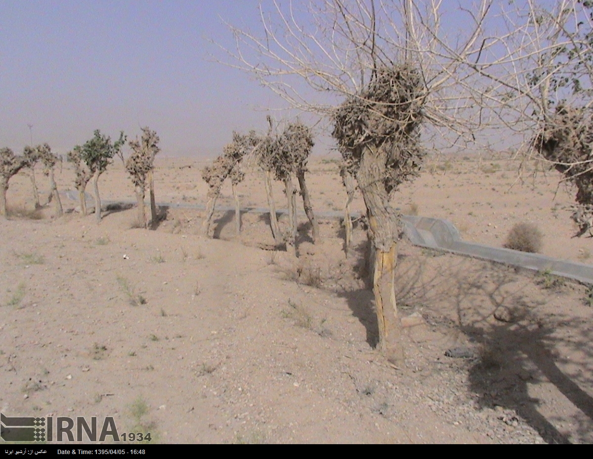 ستاد اجرایی امام (ره) پرداخت ۱۰۰ میلیارد تومان خسارت خشکسالی در همدان را تعهد کرد