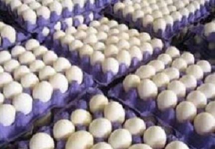 Jorasán Razaví exporta 10 mil toneladas de huevos