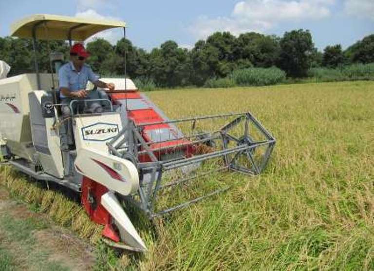 آغاز برداشت مكانیزه برنج در مازندران/كاهش كارمزد تسهیلات كشاورزی از 18به 15 درصد