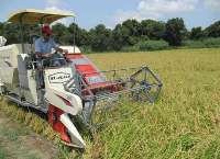آغاز برداشت مكانیزه برنج در مازندران/كاهش كارمزد تسهیلات كشاورزی از 18به 15 درصد