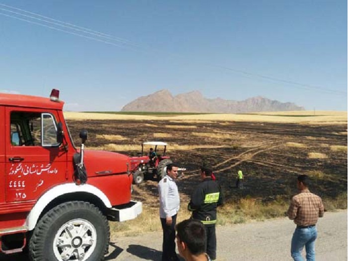 37 هكتار از مزارع گندم اليگودرز طعمه حريق شد