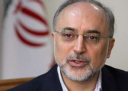 Salehi rules out buying used reactor from Bulgaria Salehi rules out buying used reactor from Bulgaria