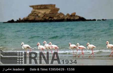 El Geoparque de Qeshm se reintegrará a la Red Mundial de la UNESCO a finales del verano