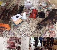 عامل كشتار 74 رأس حیوان در دماوند دستگیر شد