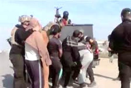 پلیس عراق 214 تروریست را در استان بابل دستگیر كرد