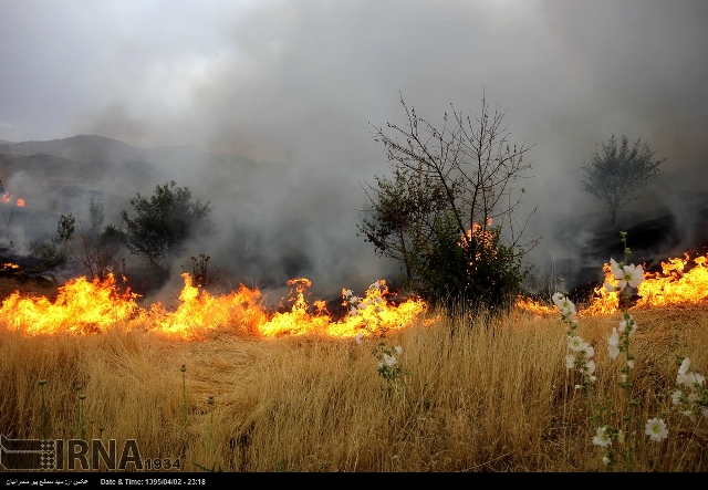 دادستان نظرآباد: آتش زدن بقاياي محصولات كشاورزي زيان بار است