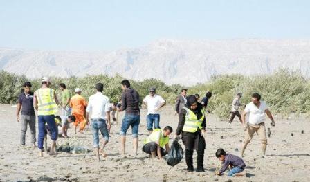 كاشت 3300نهال مانگرو در تالاب آذيني سيريك