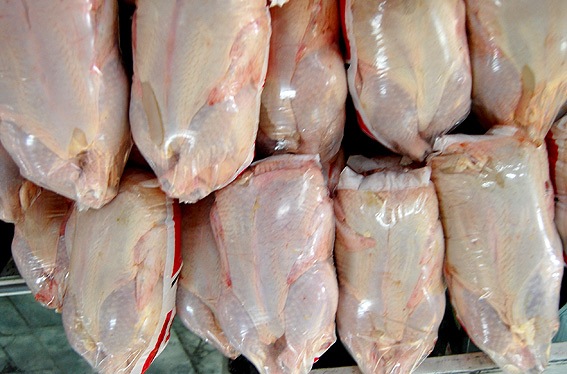 بیش از 6 هزارتن مرغ منجمد در بورس كالا و بازار برای كنترل قیمت ها عرضه شد