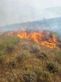 آتش سوزي عمدي 15 هكتار از مراتع شهرستان طارم را از بين برد