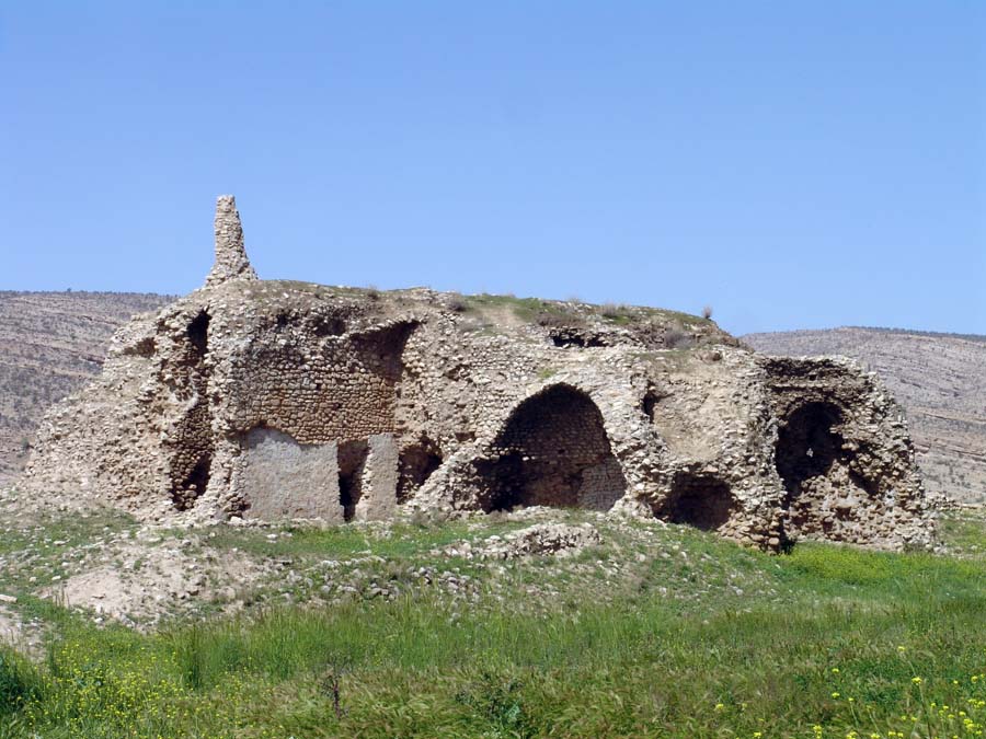 استحكام بخشي بناي كوشك اردشير در دشتستان بوشهر آغاز شد