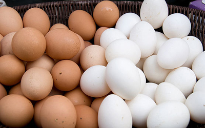 عرضه تخم مرغ خارج از يخچال ممنوع است/روش شناسايي تخم مرغ تازه و كهنه