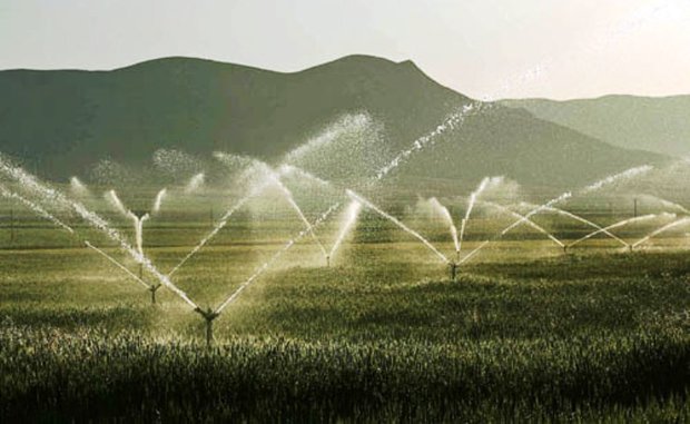 طرح تعیین میزان مصرف آب 34 محصول كشاورزی كلید خورد