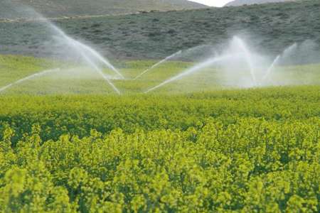 561 ميليون متر مكعب آب غيرمجاز در بخش كشاورزي قزوين مصرف مي شود