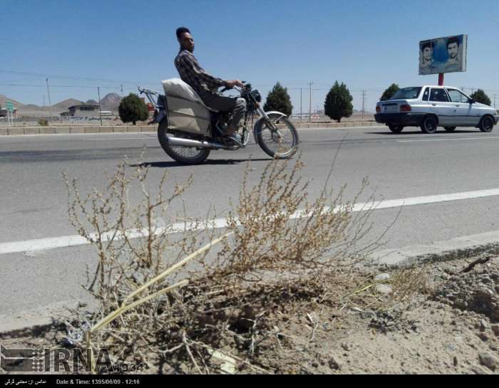 ایرنا - تابلوهای مزین به تصویر شهدا در بلوار خوسف به بیرجند نیازمند ...