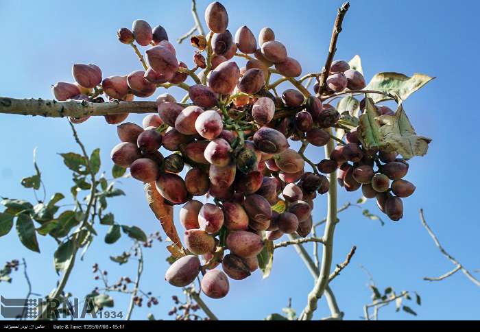 به شرطی که ما بشویم