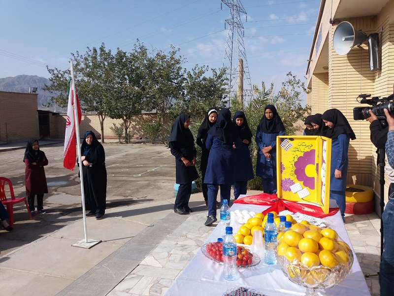 طرح ملي مكمل ياري دانش آموزان دختر شهرستان بيرجند آغاز شد