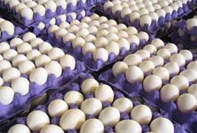 افزايش كيفيت و صادرات، رويكرد جهادكشاورزي در توليد تخم مرغ است