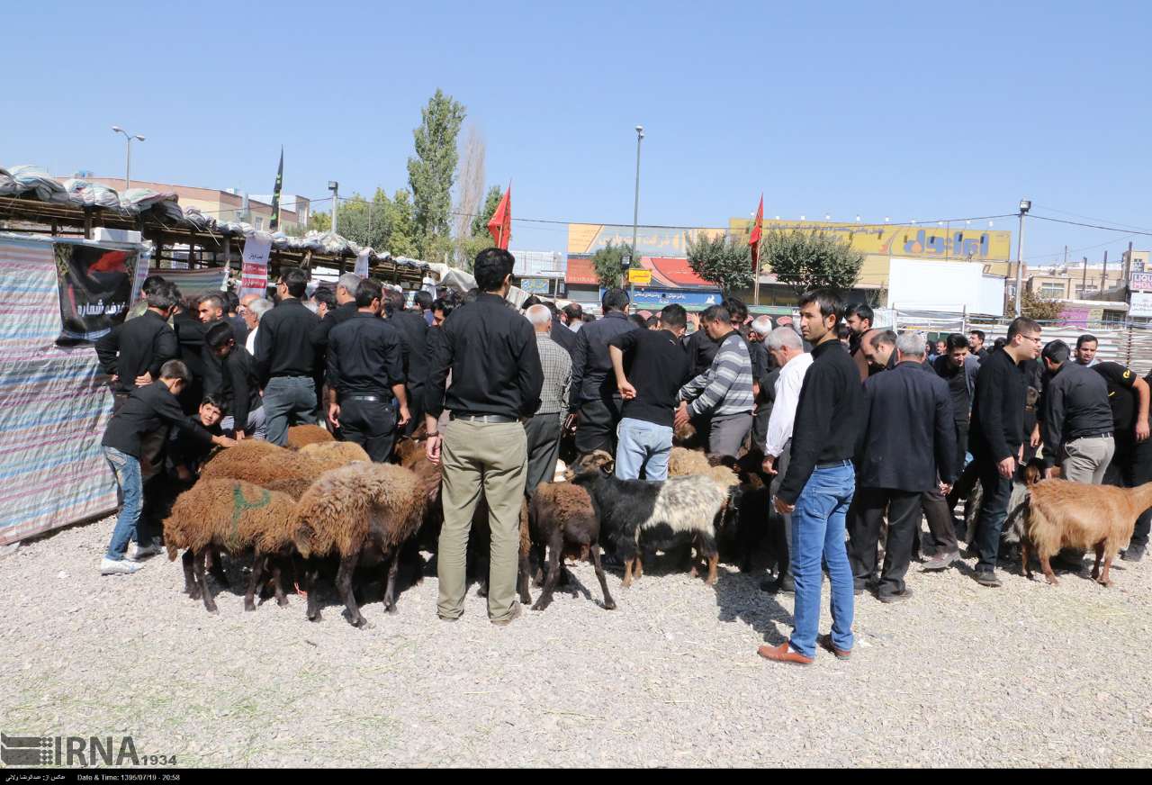 ایرنا